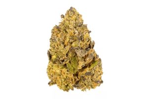 Love Potion strain is an all-round bud. This strain review looks at its effects, THC levels, aroma & flavours to help you make the best choice