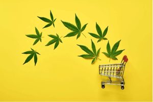 Are you wondering what a weed store online has to offer? Buy weed online in Canada & explore the world of premium products at low prices.