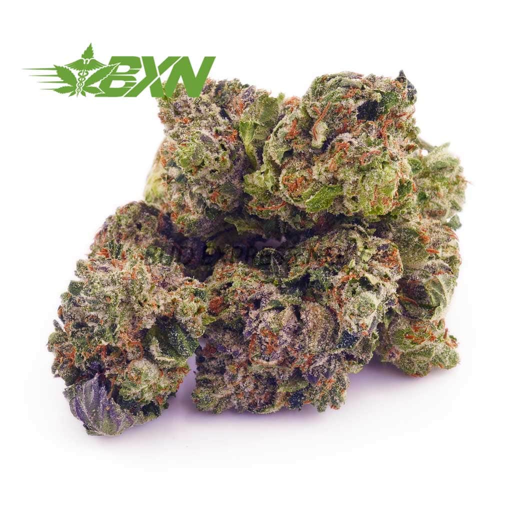 Buy Master Kush Ultra AAAA (Popcorn) at BudExpressNOW Online Shop.