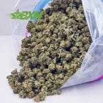 Buy Pink Kush AAAA (Popcorn) at BudExpressNOW Online Shop.