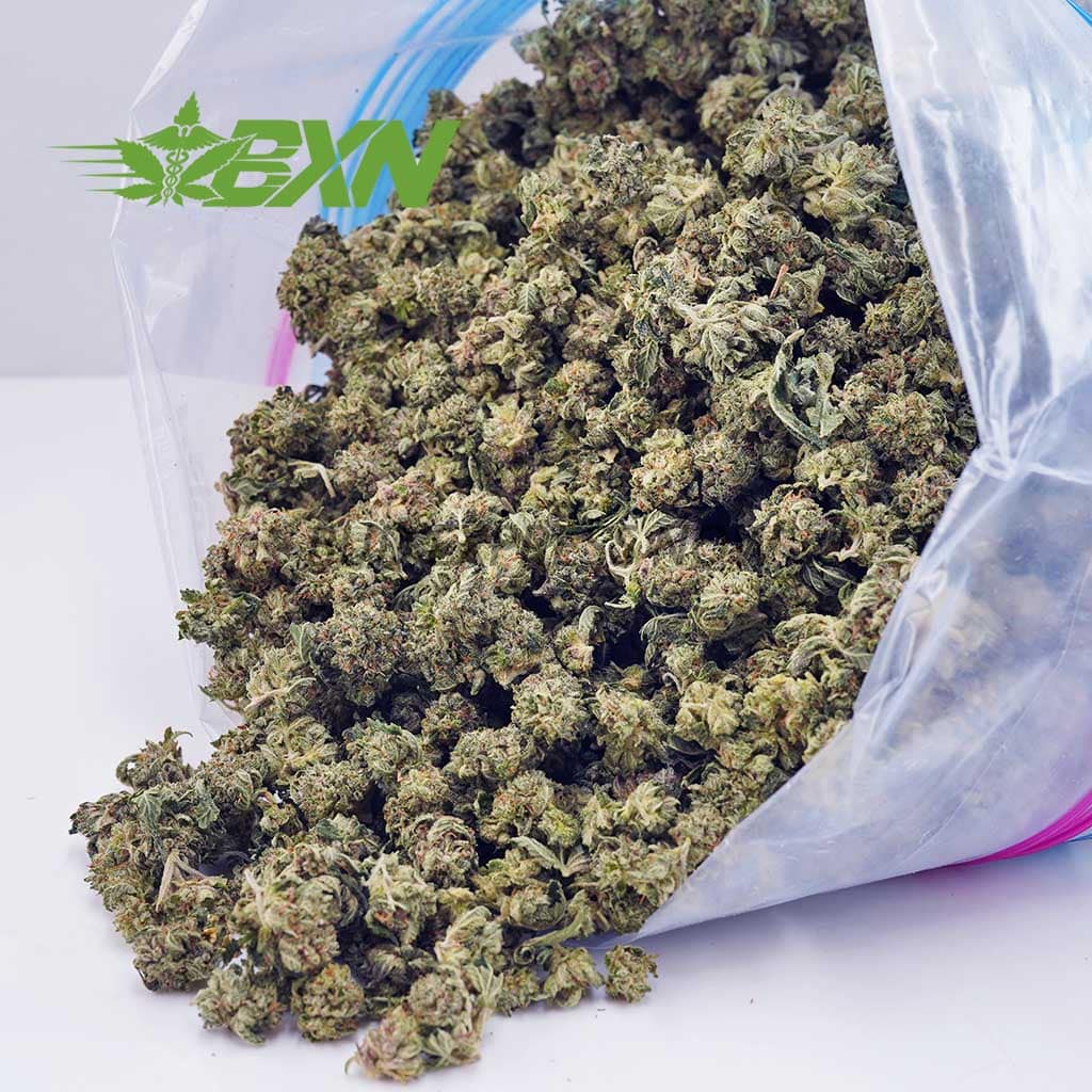 D590A2-PINKKUSHPOPCORN-BXN Buy Pink Kush AAAA (Popcorn) at BudExpressNOW Online Shop.