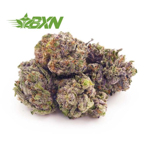 Buy OG Kush AAAA (Popcorn) at BudExpressNOW Online Shop.