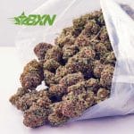 Buy Guava Cake AAA at BudExpressNOW Online Shop