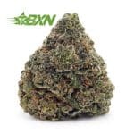 Buy White Rhino AAA at BudExpressNOW Online Shop