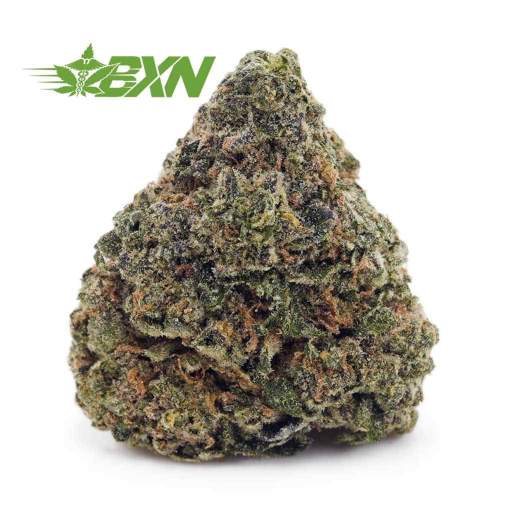 Buy White Rhino AAA at BudExpressNOW Online Shop