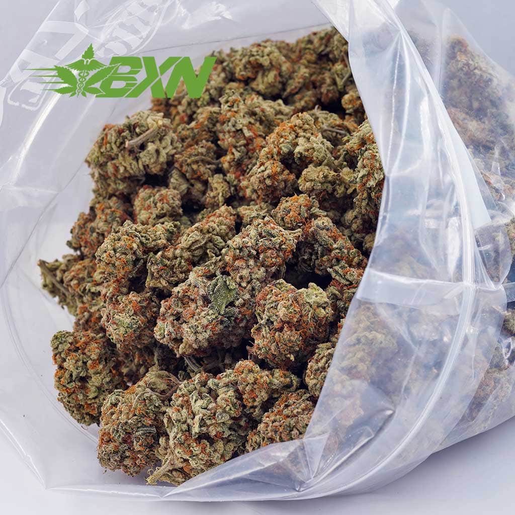 D858A2-GORILLABREATH-BXN