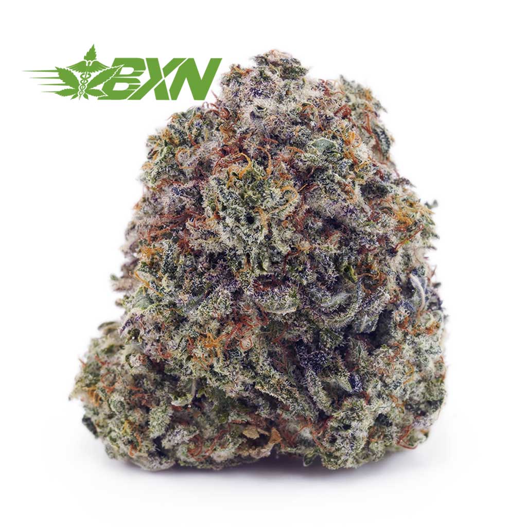 D930A1-SLURRICANE-BXN Buy Slurricane AAA at BudExpressNOW Online Shop