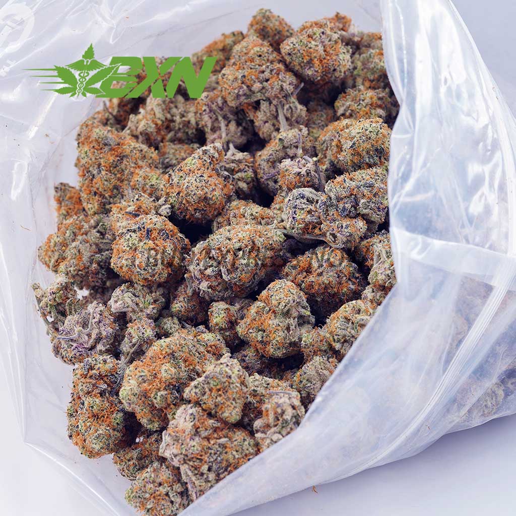 Buy Biscotti AA at BudExpressNOW Online Shop.