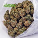 Buy Astro Cookies AAA at BudExpressNOW Online