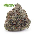 Buy Pink Rockstar AAA at BudExpressNOW Online Shop