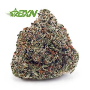 Buy Pink Rockstar AAA at BudExpressNOW Online Shop