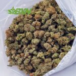 EA WHITETAHOECOOKIESPOPCORN BXN