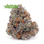 Buy White Russian AAA at BudExpressNOW Online Shop