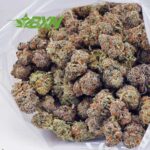 Buy White Russian AAA at BudExpressNOW Online Shop