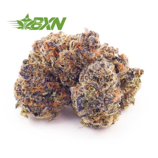 Buy Forum Cut Cookies AAAA (Popcorn) at BudExpressNOW Online