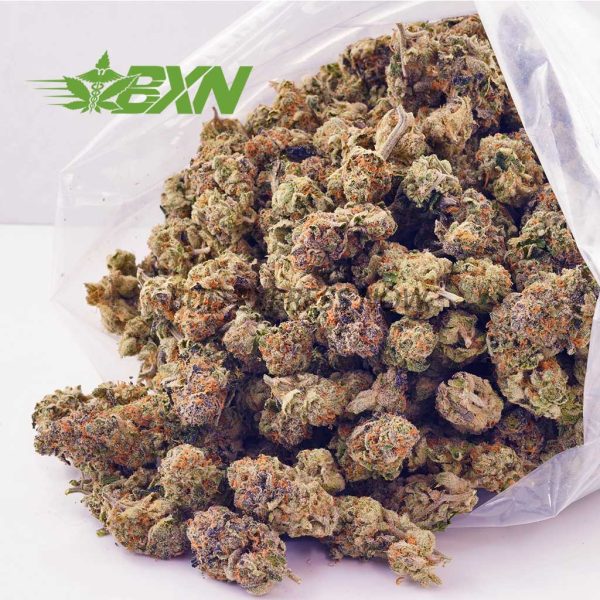 Buy Forum Cut Cookies AAAA (Popcorn) at BudExpressNOW Online