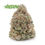 Buy Gorilla Cookies AA at BudExpressNOW Online Shop