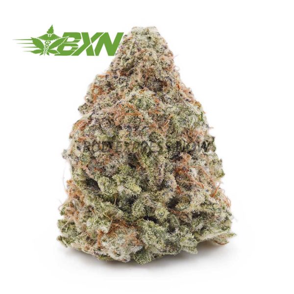 Buy Gorilla Cookies AA at BudExpressNOW Online Shop