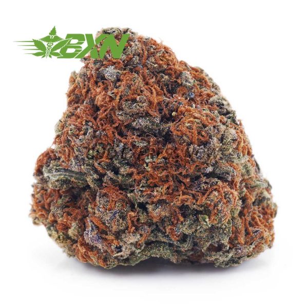 Buy Purple Crack AA at BudExpressNOW Online Shop