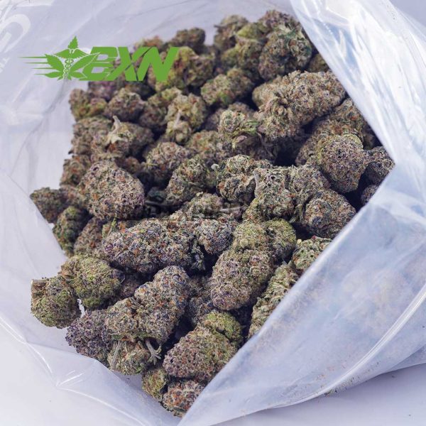 Buy Cotton Candy Kush AAAA at BudExpressNOW Online