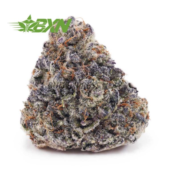 Buy Cotton Candy Kush AAAA at BudExpressNOW Online