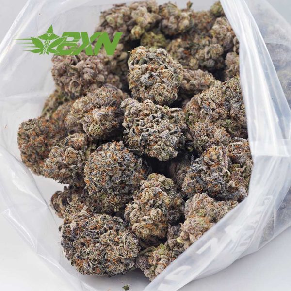 Buy Cotton Candy Kush AAAA at BudExpressNOW Online