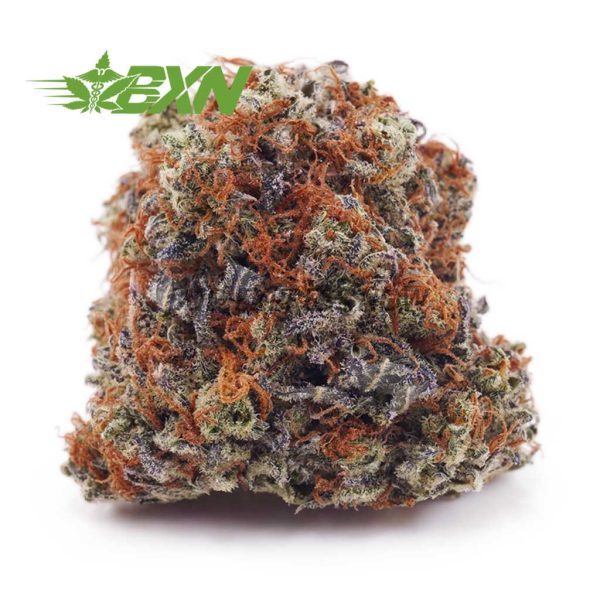 Buy Blackberry Haze AAA at BudExpressNOW Online Shop