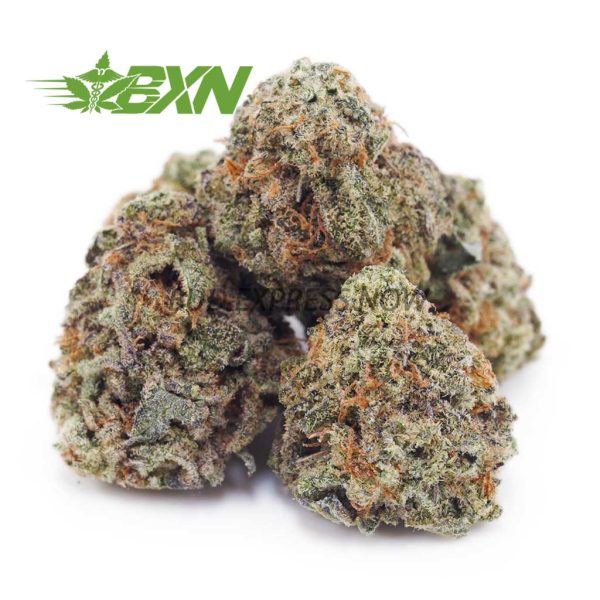 Buy Tahoe OG AAAA (Popcorn Nugs) at BudExpressNOW Online