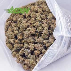 Buy Tahoe OG AAAA (Popcorn Nugs) at BudExpressNOW Online