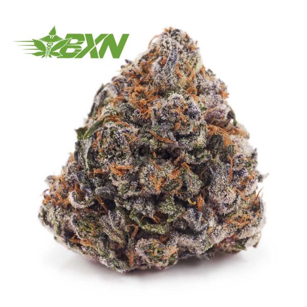 Buy Grape Punch AAAA at BudExpressNOW Online.