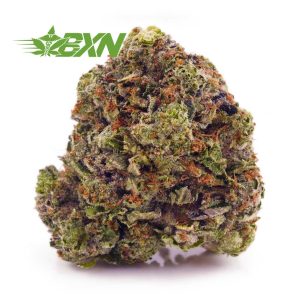 Buy Hindu Kush AAAA at BudExpressNOW Online Shop