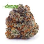 Buy Gorilla OG AAA at BudExpressNOW Online Shop.