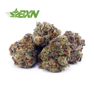 Tuna Kush AAAA (Popcorn) at BudExpressNOW Online Shop
