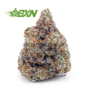 Buy Strawberry Cough AAAA at BudExpressNOW Online Shop