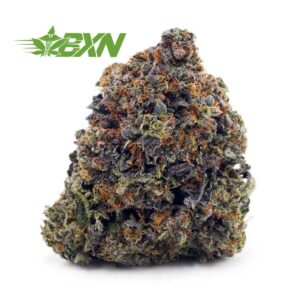 Buy Vintage Gas (Craft) at BudExpressNOW Online Shop.