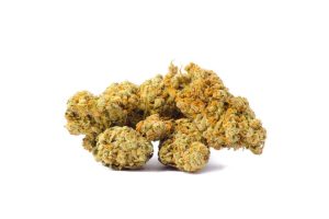 Ever tried out a potent strain from African jungle? The Red Congo strain is here to make your dream come true. Here's what you need to know. 