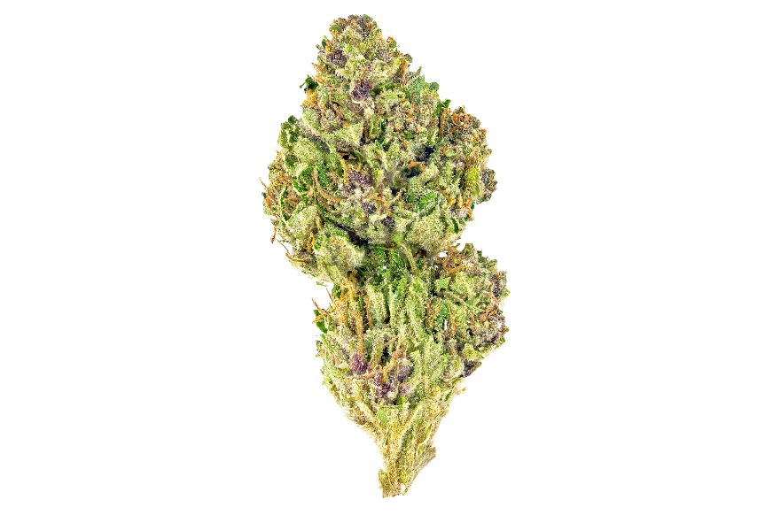 Skywalker Kush is an indica-dominant hybrid known for its powerful potency & well-rounded effects. Order weed online in Canada from BXN.