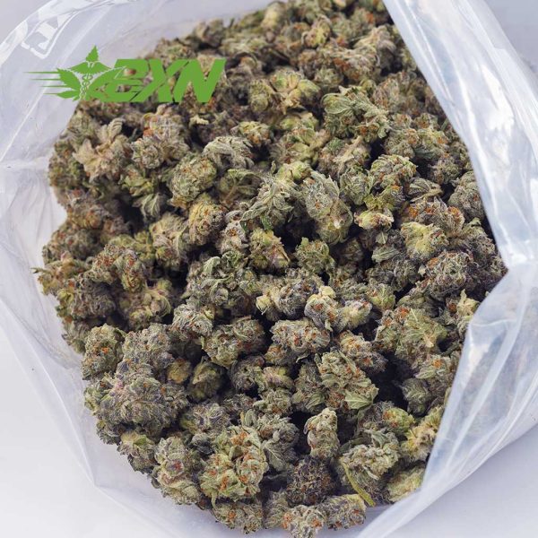 Buy OG Skunk AAAA (Popcorn) at BudExpressNOW Online Shop.