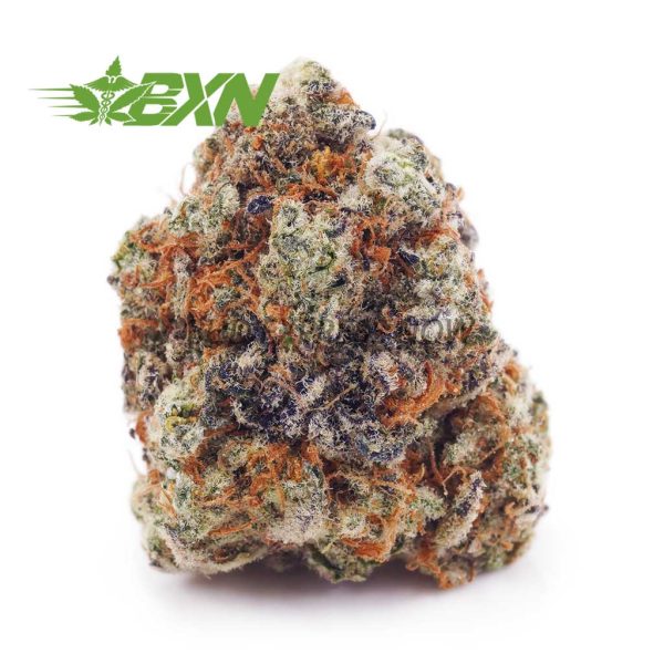 Buy Cookies Kush AA at BudExpressNOW Online Shop