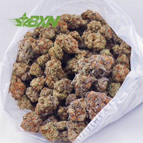 Buy Cookies Kush AA at BudExpressNOW Online Shop