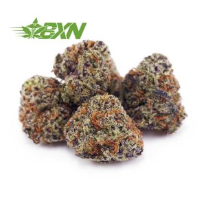 Buy Chocolope AAAA (Popcorn) at BudExpressNOW Online