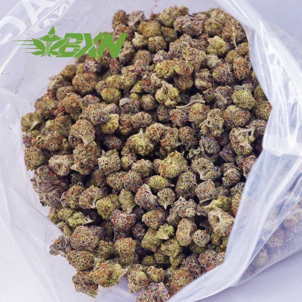 Buy Chocolope AAAA (Popcorn) at BudExpressNOW Online