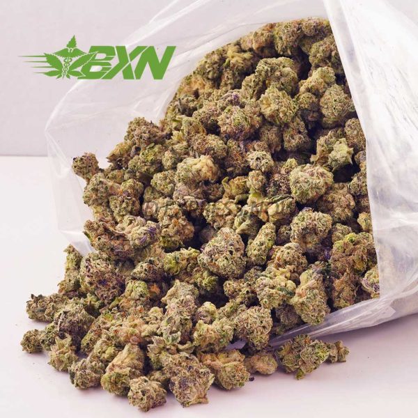 Buy Tangie AAA (Popcorn) at BudExpressNOW Online Shop.