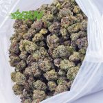 Buy Platinum Rockstar AAAA (Popcorn) at BudExpressNOW Online Shop