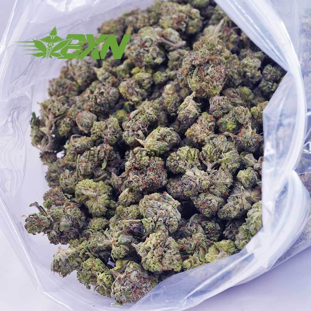 Buy Galactic Gas AAAA (Popcorn) at BudExpressNOW Online