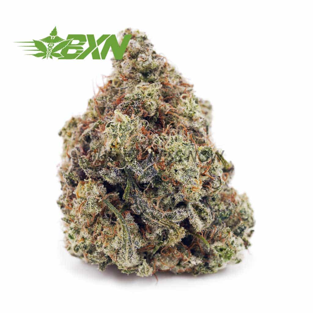 Buy Columbian Gold AAA at BudExpressNOW Online