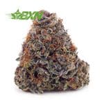 Buy Purple Tropicana AAAA at BudExpressNOW Online shop.