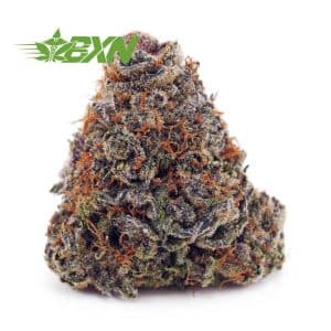 Buy Purple Tropicana AAAA at BudExpressNOW Online shop.