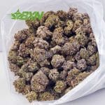 Buy Purple Tropicana AAAA at BudExpressNOW Online shop.