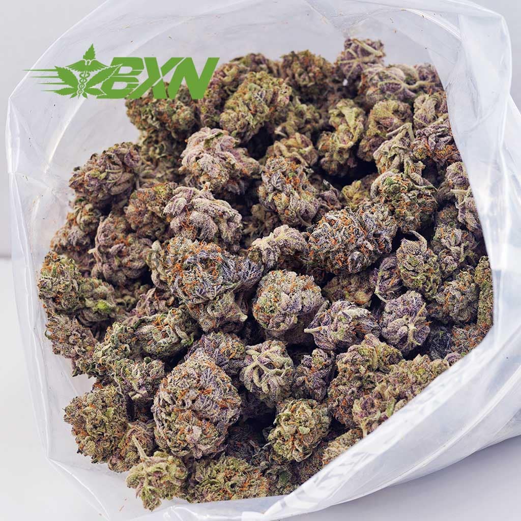 Buy Purple Tropicana AAAA at BudExpressNOW Online shop.